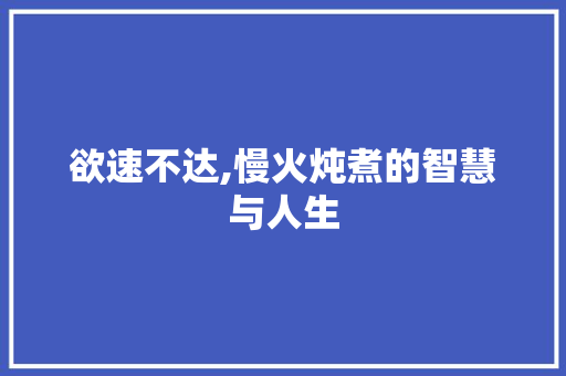 欲速不达,慢火炖煮的智慧与人生