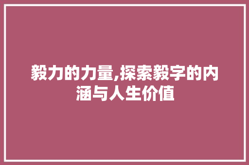 毅力的力量,探索毅字的内涵与人生价值