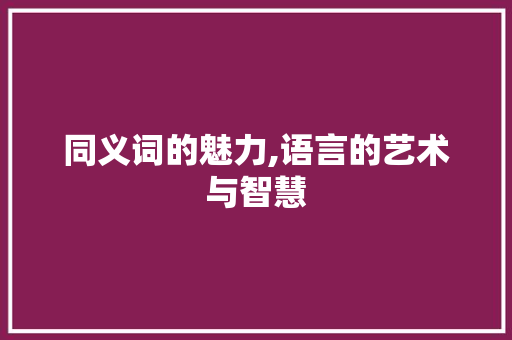 同义词的魅力,语言的艺术与智慧