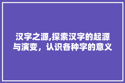 汉字之源,探索汉字的起源与演变，认识各种字的意义