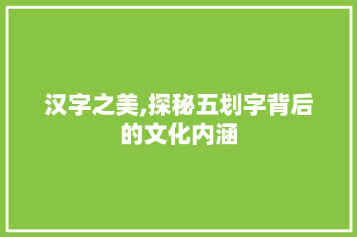 汉字之美,探秘五划字背后的文化内涵