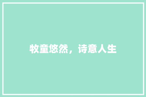 牧童悠然，诗意人生