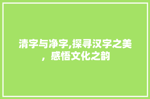 清字与净字,探寻汉字之美，感悟文化之韵