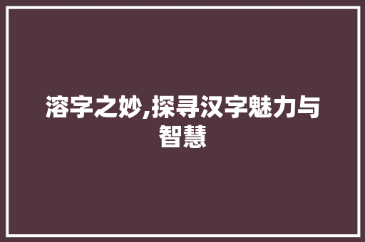溶字之妙,探寻汉字魅力与智慧