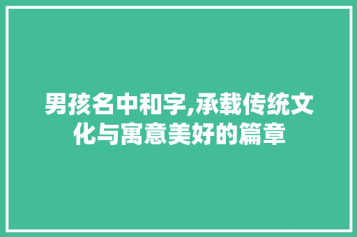 男孩名中和字,承载传统文化与寓意美好的篇章
