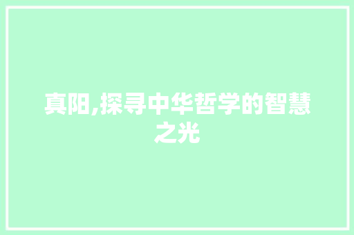 真阳,探寻中华哲学的智慧之光