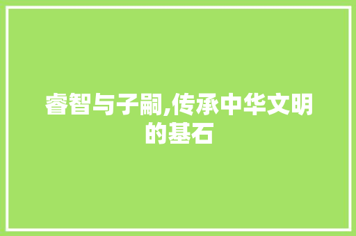 睿智与子嗣,传承中华文明的基石