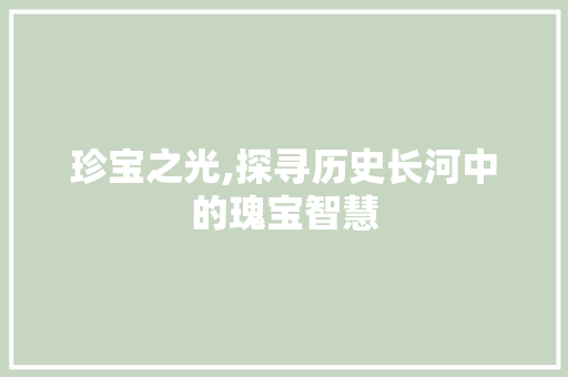 珍宝之光,探寻历史长河中的瑰宝智慧
