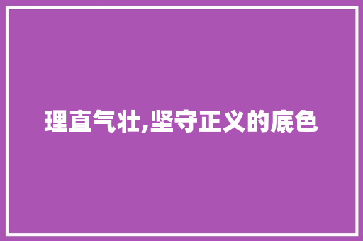 理直气壮,坚守正义的底色