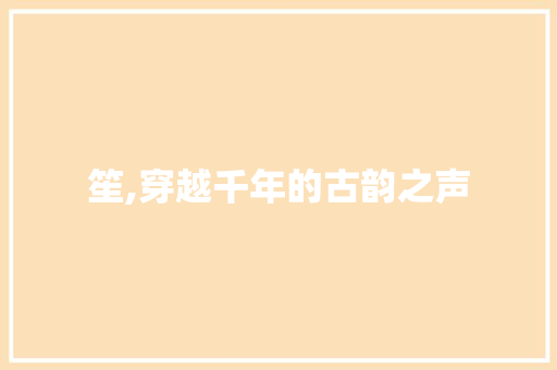 笙,穿越千年的古韵之声