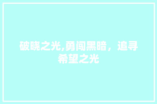 破晓之光,勇闯黑暗,追寻希望之光