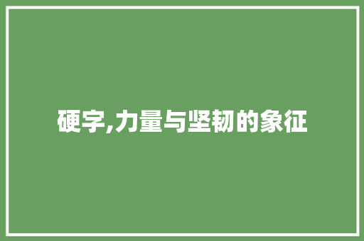 硬字,力量与坚韧的象征
