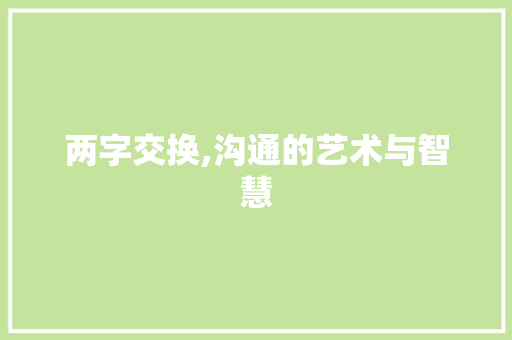 两字交换,沟通的艺术与智慧