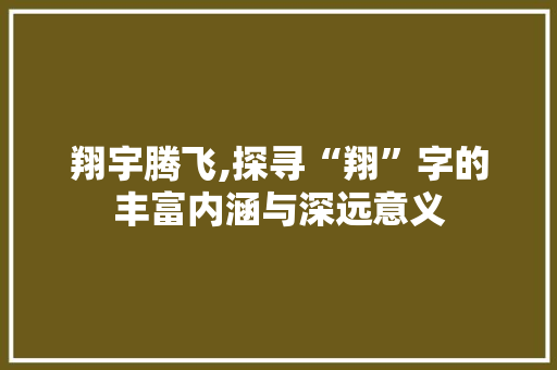 翔宇腾飞,探寻“翔”字的丰富内涵与深远意义