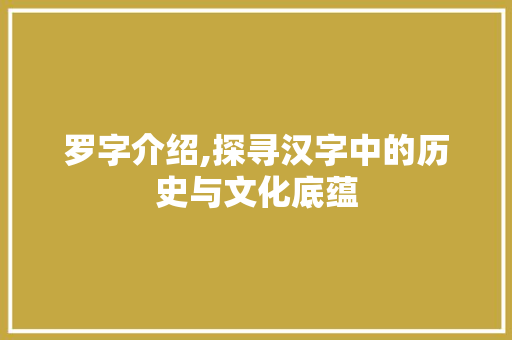 罗字介绍,探寻汉字中的历史与文化底蕴