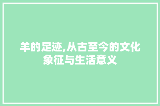 羊的足迹,从古至今的文化象征与生活意义