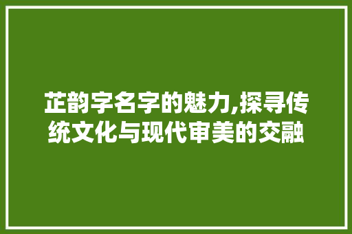 芷韵字名字的魅力,探寻传统文化与现代审美的交融