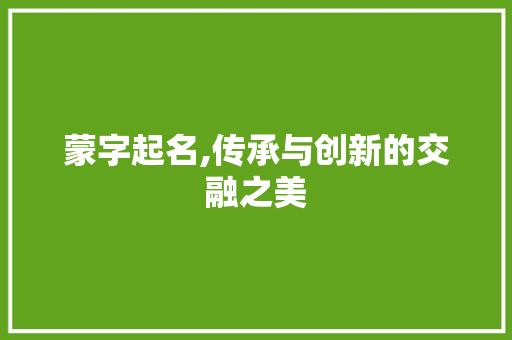 蒙字起名,传承与创新的交融之美