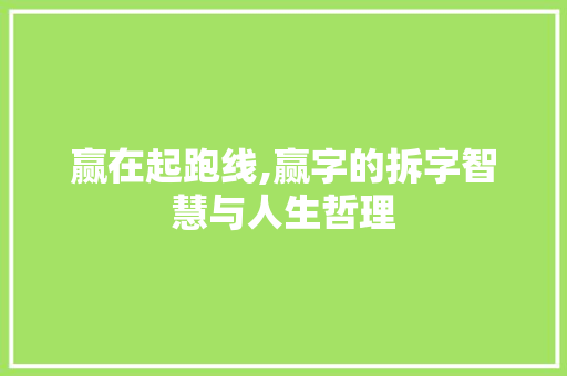赢在起跑线,赢字的拆字智慧与人生哲理