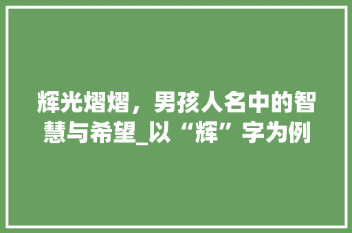 辉光熠熠，男孩人名中的智慧与希望_以“辉”字为例