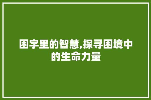 困字里的智慧,探寻困境中的生命力量