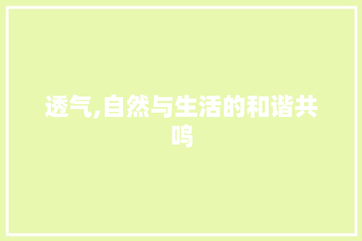 透气,自然与生活的和谐共鸣