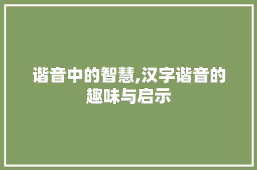 谐音中的智慧,汉字谐音的趣味与启示