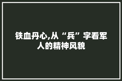 铁血丹心,从“兵”字看军人的精神风貌