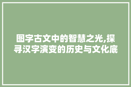 图字古文中的智慧之光,探寻汉字演变的历史与文化底蕴