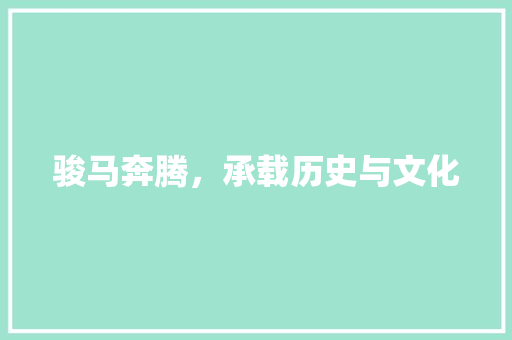 骏马奔腾，承载历史与文化