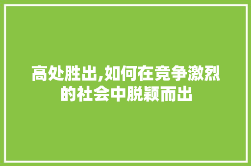高处胜出,如何在竞争激烈的社会中脱颖而出