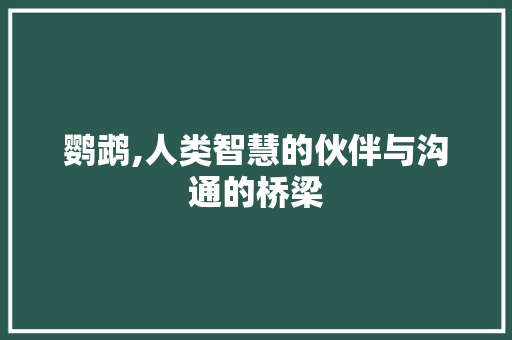 鹦鹉,人类智慧的伙伴与沟通的桥梁