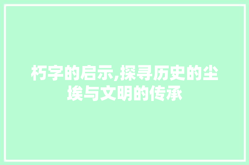 朽字的启示,探寻历史的尘埃与文明的传承