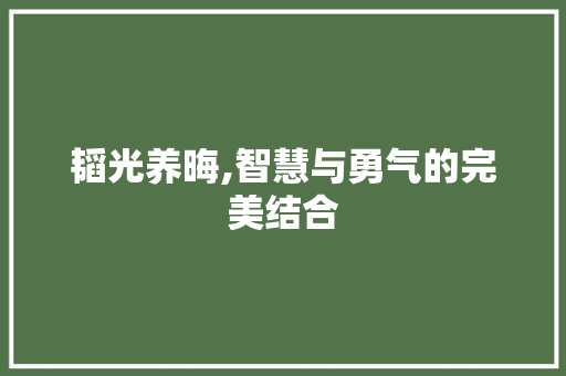 韬光养晦,智慧与勇气的完美结合