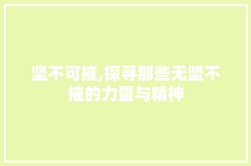 坚不可摧,探寻那些无坚不摧的力量与精神