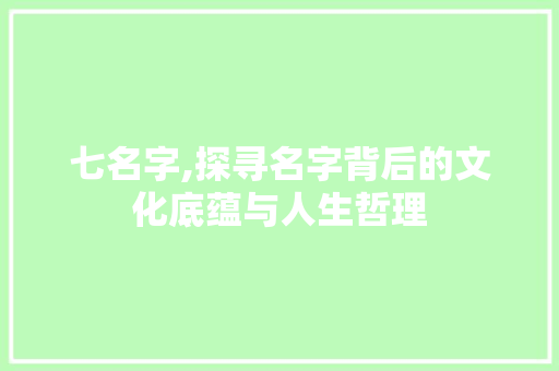 七名字,探寻名字背后的文化底蕴与人生哲理