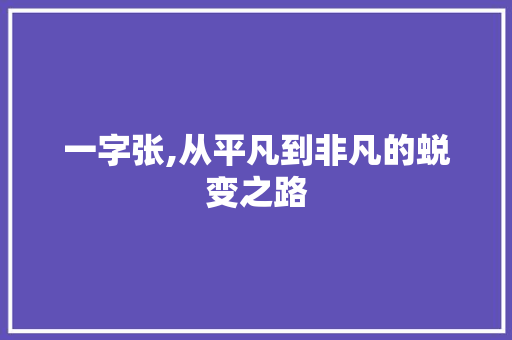 一字张,从平凡到非凡的蜕变之路