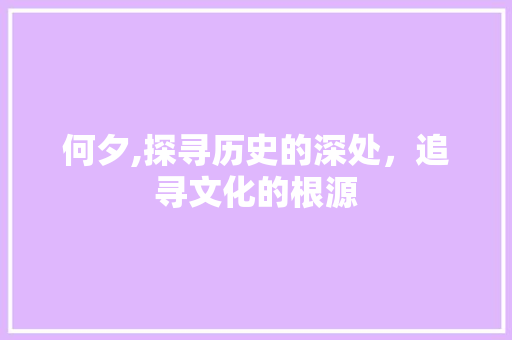 何夕,探寻历史的深处，追寻文化的根源