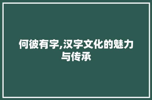 何彼有字,汉字文化的魅力与传承