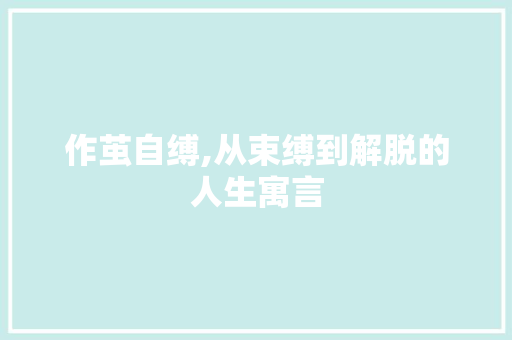 作茧自缚,从束缚到解脱的人生寓言