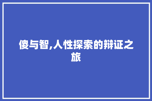 傻与智,人性探索的辩证之旅