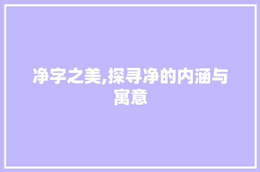 净字之美,探寻净的内涵与寓意