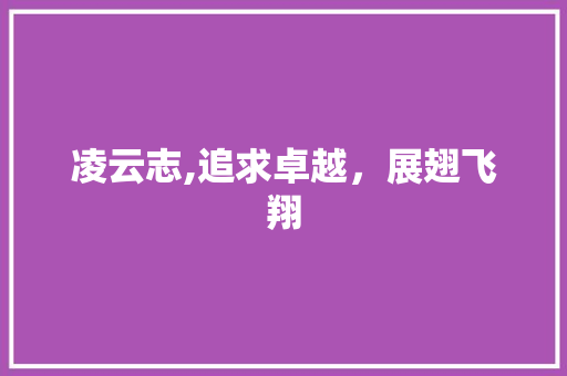 凌云志,追求卓越，展翅飞翔