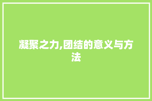 凝聚之力,团结的意义与方法