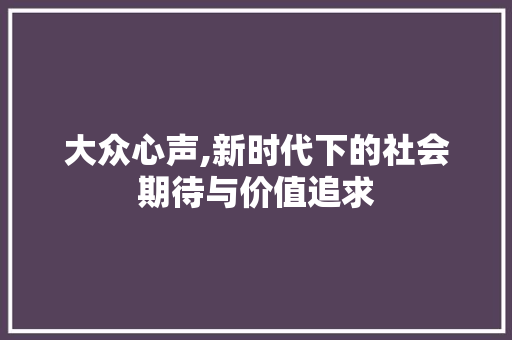 大众心声,新时代下的社会期待与价值追求