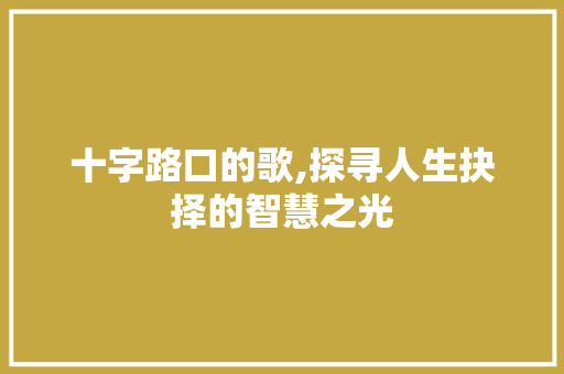 十字路口的歌,探寻人生抉择的智慧之光