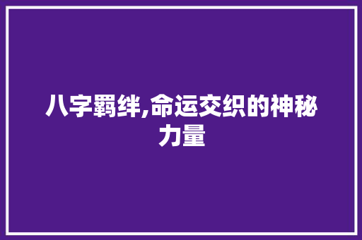 八字羁绊,命运交织的神秘力量