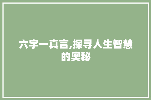 六字一真言,探寻人生智慧的奥秘