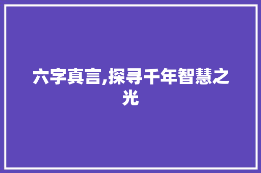 六字真言,探寻千年智慧之光