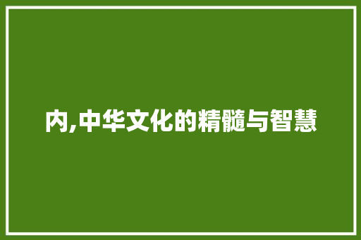 内,中华文化的精髓与智慧